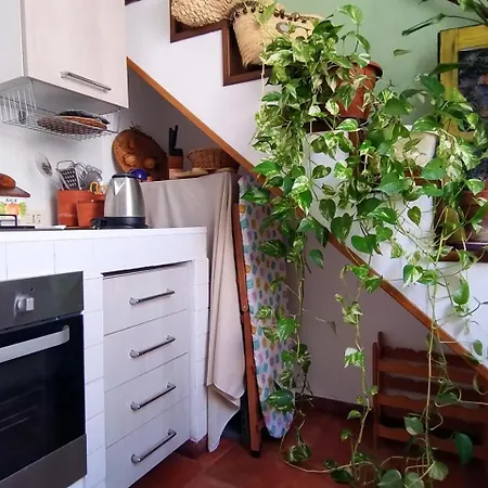 Olivuzza Guest house *