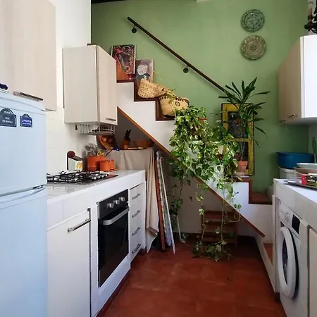 招待所 Olivuzza 4*